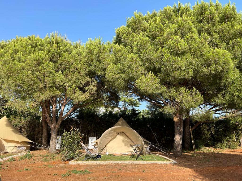 Glamping La Mimosa Hotel Conil De La Frontera Eksteriør billede