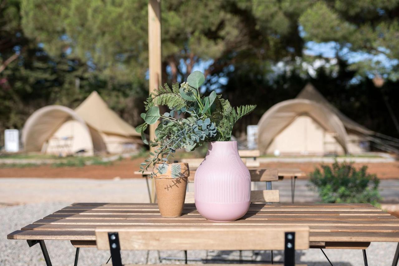 Glamping La Mimosa Hotel Conil De La Frontera Eksteriør billede